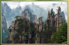 奇趣自然 张家界国家森林公园