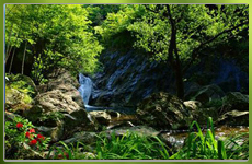 奇幽美险 中坡山森林公园