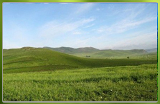 丰宁坝上高原