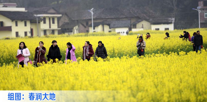 组图：春润大地
