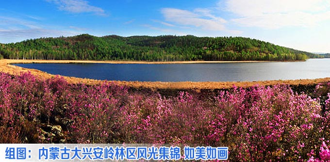 内蒙古大兴安岭林区风光集锦 如美如画