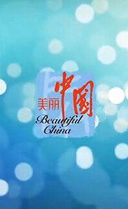 中国旅游宣传片-国色