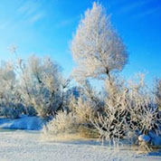 为中亚合作创良机