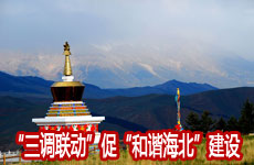 创新&ldquo;三调联动&rdquo;促&ldquo;和谐海北&rdquo;建设