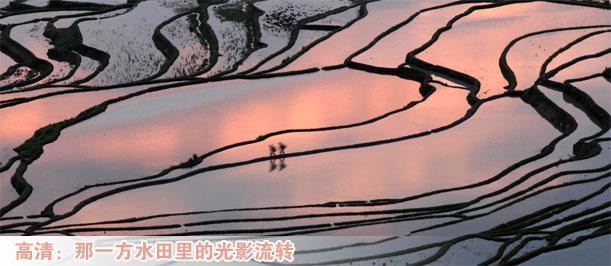 高清：那一方水田里的光影流转