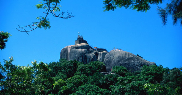 主题旅游线路带你&ldquo;智慧&rdquo;漫游鼓浪屿