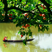 钱塘望族的前世今生