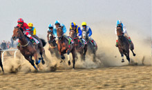 马术邀请赛速度赛