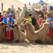 中俄蒙三国携手推进区域旅游可持续发展