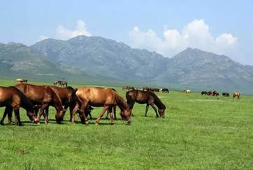 大力发展中俄红色旅游合作