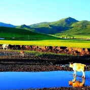 &ldquo;穿在身上的文化&rdquo;