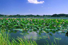 河北"中国旅游日"优惠