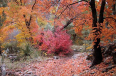 辽宁"中国旅游日"优惠