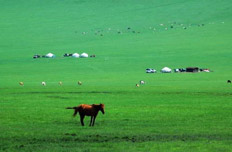 内蒙古"中国旅游日"优惠