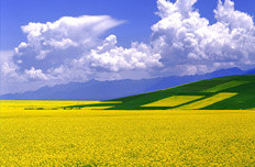 青海"中国旅游日"优惠