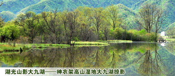 湖光山影大九湖——神农架高山湿地大九湖掠影