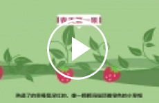 草莓之乡保定满城