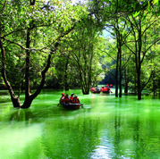 感受美丽荔波新面貌