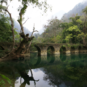 转换成产业发展的新路子