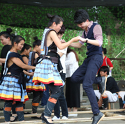 荔波梅花节即将开幕