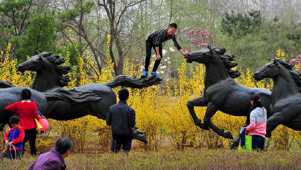 旅游安全“四大专项整治行动”