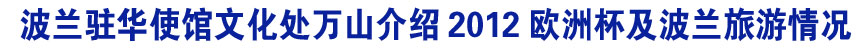 波兰驻中国使馆文化处万山做客新华网