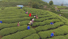 旅游产业:当资本爱上美丽