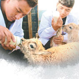 坚守保护站，平凡岗位不凡担当