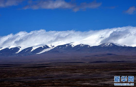 以申遗为契机的生态保护之战