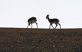 申遗是为了更好地保护