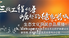 三北工程40年生态文化获奖作品展播