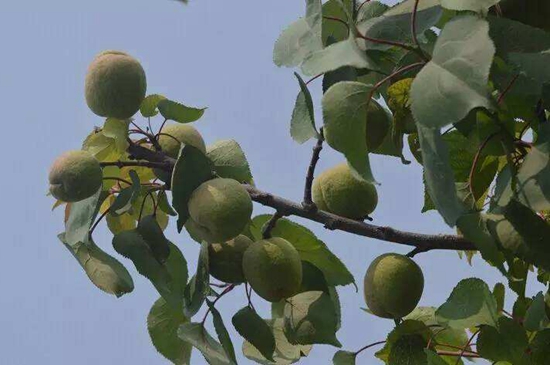 专家论道：挖掘生态动力 助推黔货出山