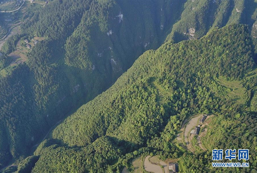 宽阔水夏日景如画