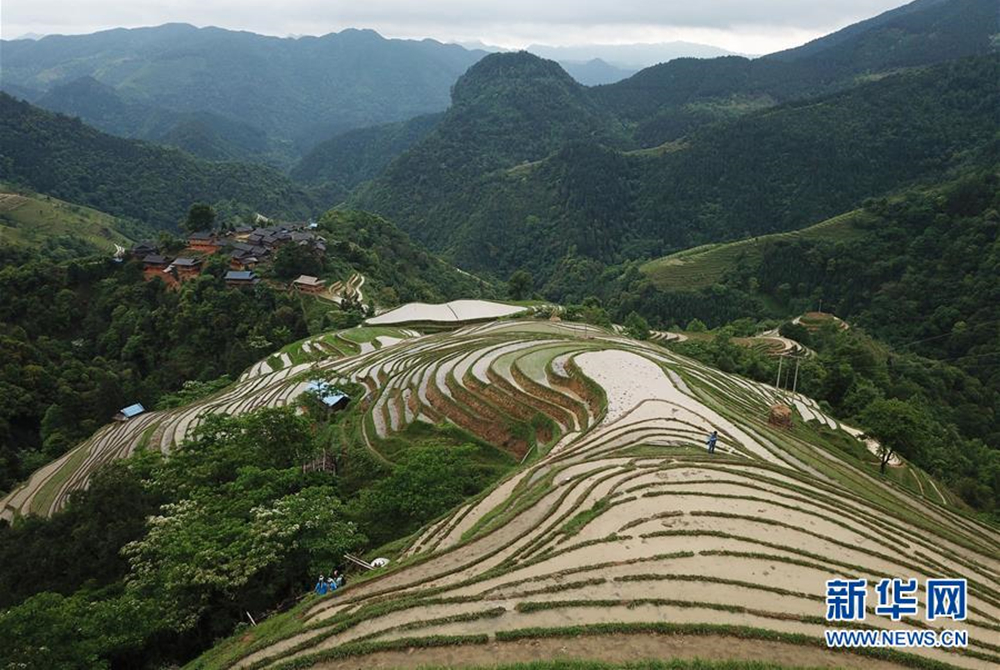 贵州榕江：初夏苗寨梯田美