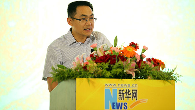 新华网副总裁丁平致辞