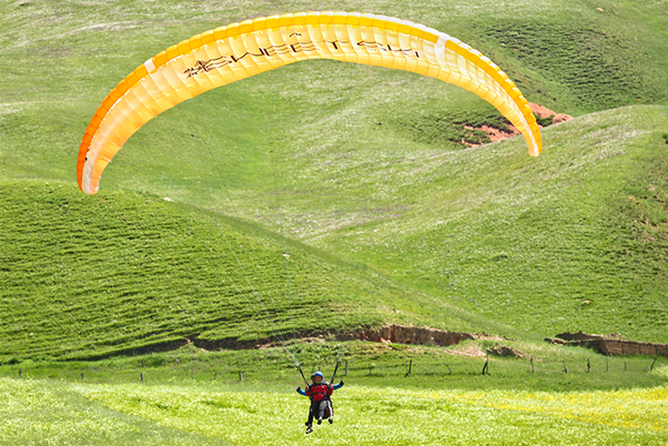 飞行员进行飞行表演