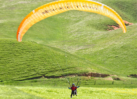 飞行员进行飞行表演