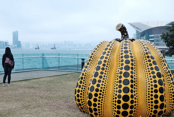 漫步香港海滨 欣赏草间南瓜