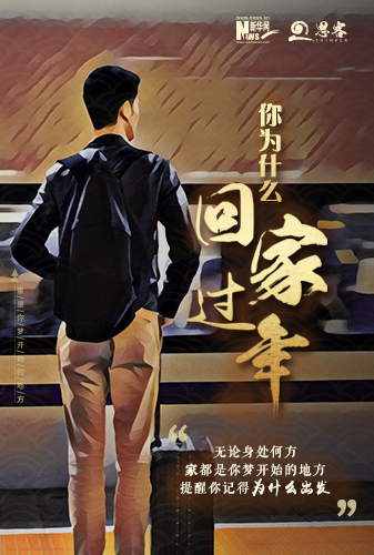 你为什么回家过年