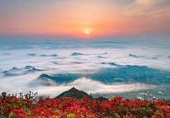 铜奖作品：《龙泉山日出来》