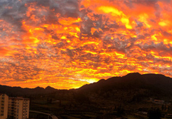 最佳人气奖：《火烧龙泉山》