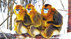 守好一方绿　迎来天下客