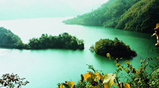 甘肃白水江国家级自然保护区