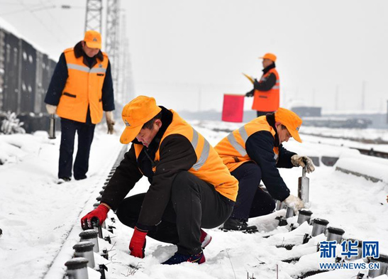 铁路编组场里的&ldquo;育菇人&rdquo;