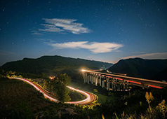 金奖作品：《双龙戏珠》