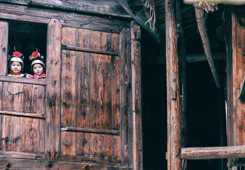 优秀作品：《窗外》