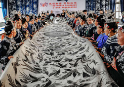 优秀作品：《百鸟图和它的绣娘们》