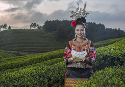 优秀作品：《丹寨扶贫茶园》