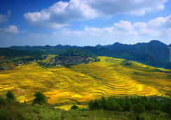 优秀作品：《家园》