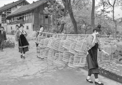 优秀作品：《卡拉致富经》